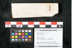 Foto (Objekt + Etikett) von Olea noti Unger (NHMW-GEO-2024-0188-8151)